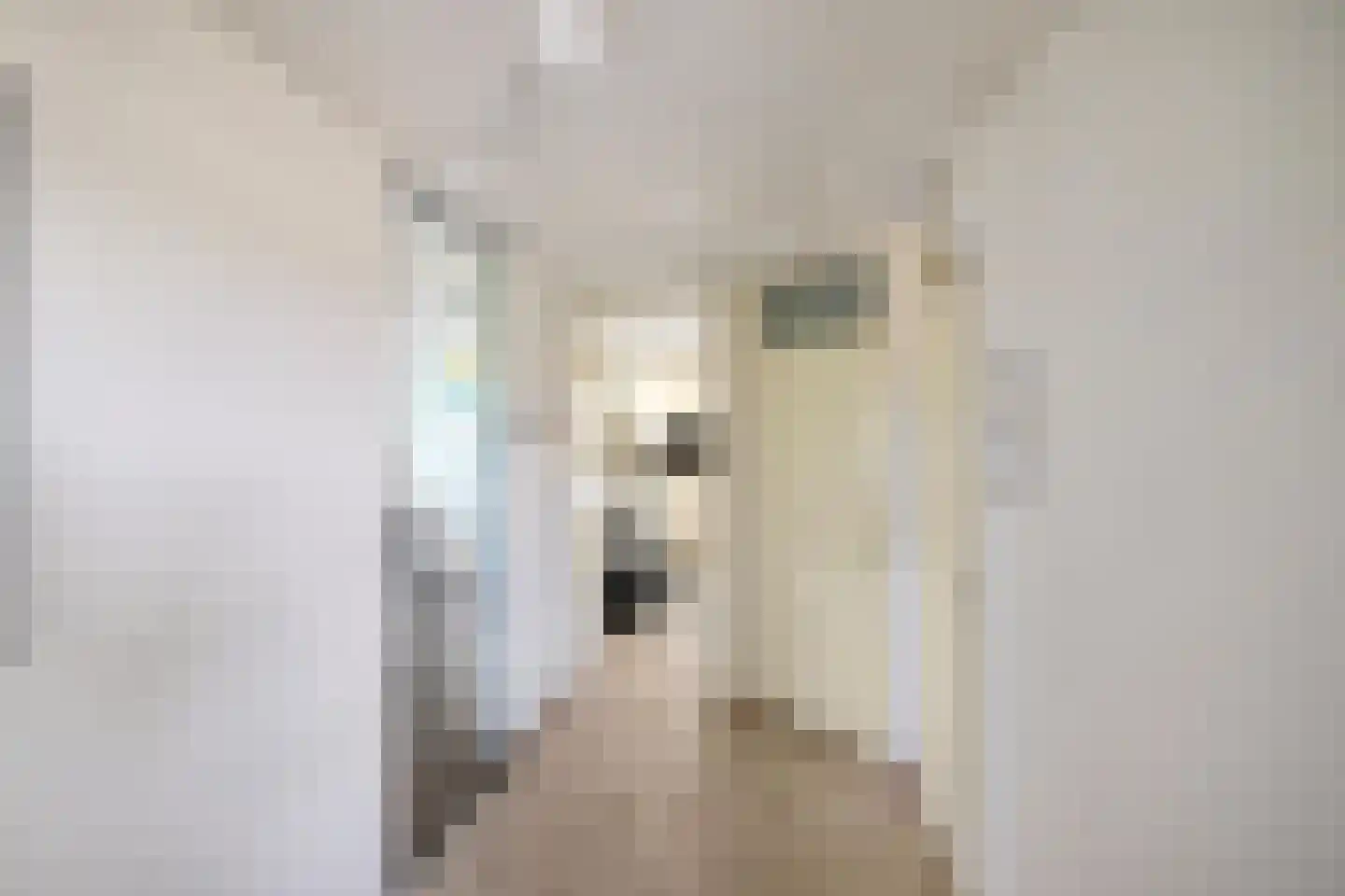 Lorentzpark 22 Leek thumbnail 32