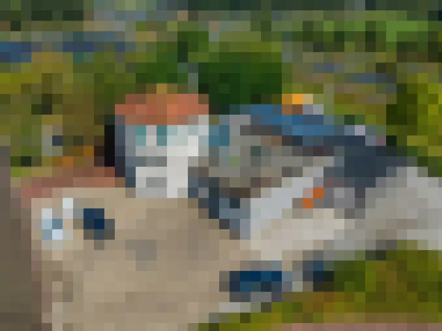 Lorentzpark 22 Leek thumbnail 41