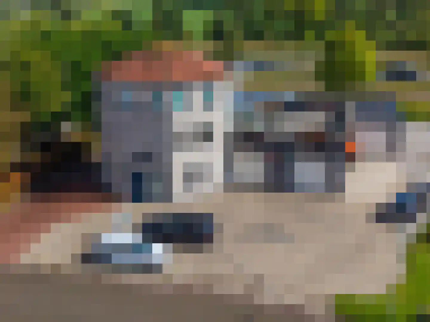 Lorentzpark 22 Leek thumbnail 45