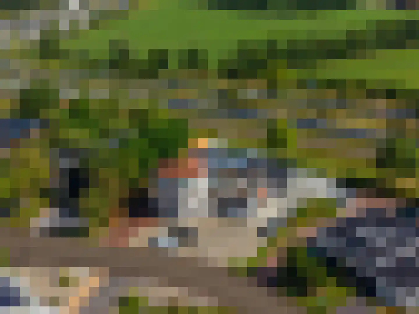 Lorentzpark 22 Leek thumbnail 46