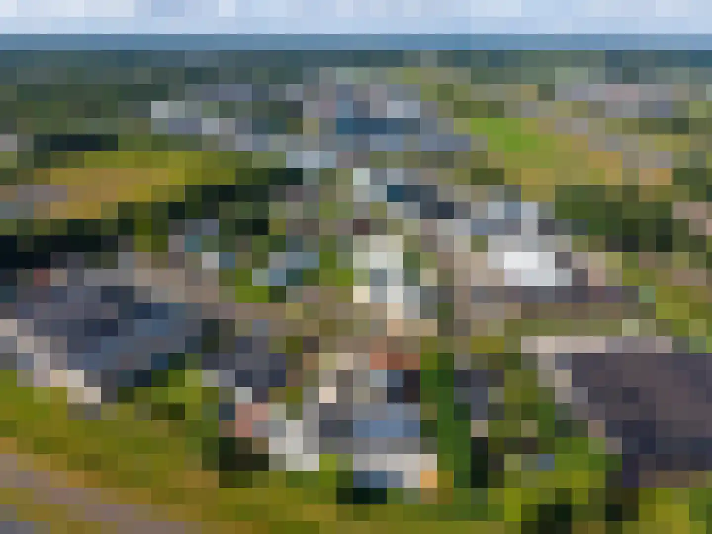Lorentzpark 22 Leek thumbnail 48