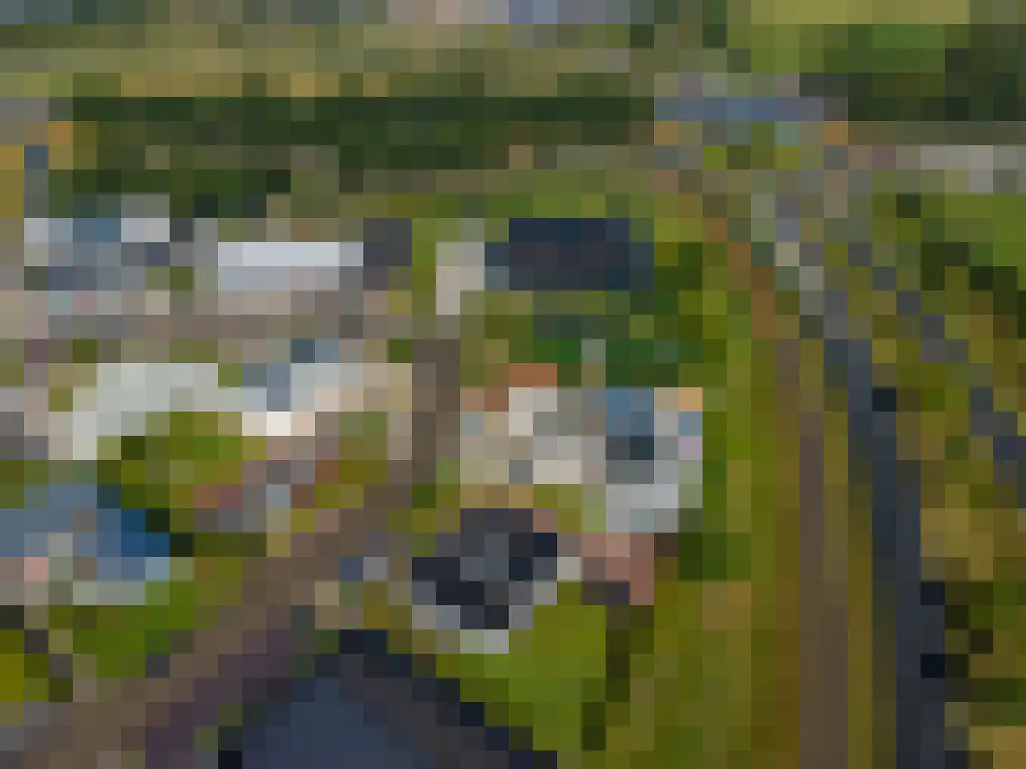 Lorentzpark 22 Leek thumbnail 49