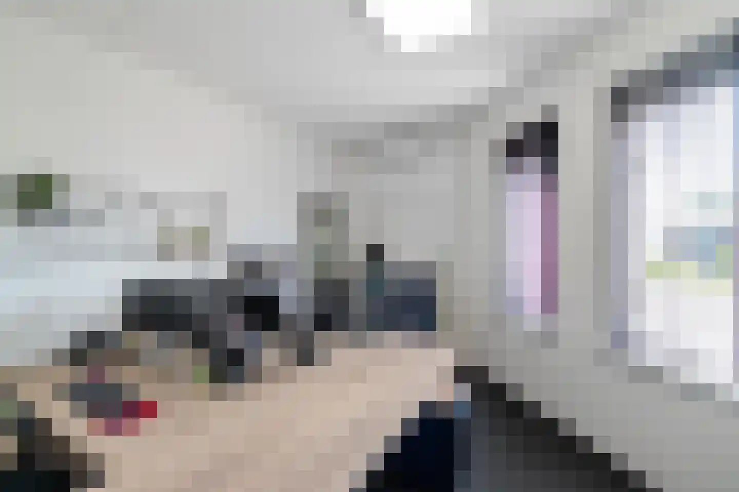 Lorentzpark 22 Leek thumbnail 9