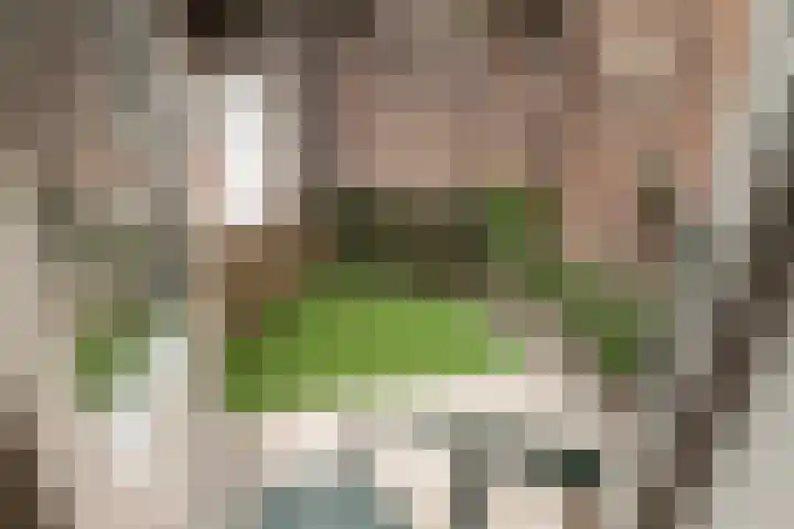 Lorentzplein 10 B 1 Schiedam thumbnail 17