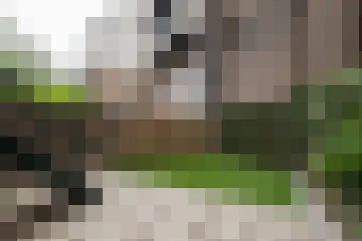 Lorentzplein 10 B 1 Schiedam thumbnail 19