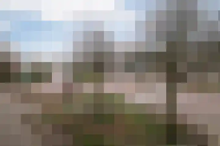 Lorentzplein 10 B 1 Schiedam thumbnail 32