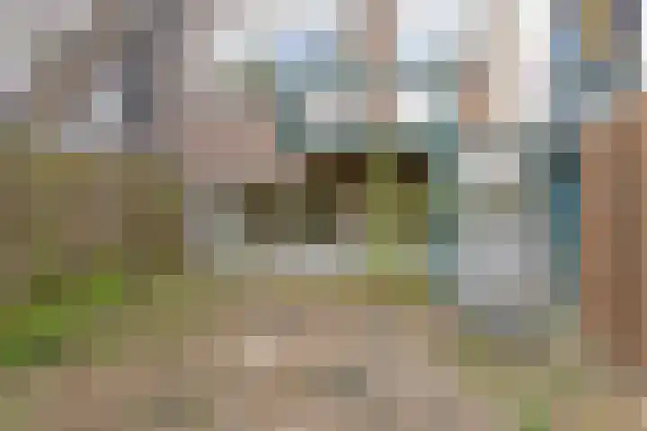 Lorentzplein 16 A Schiedam thumbnail 21