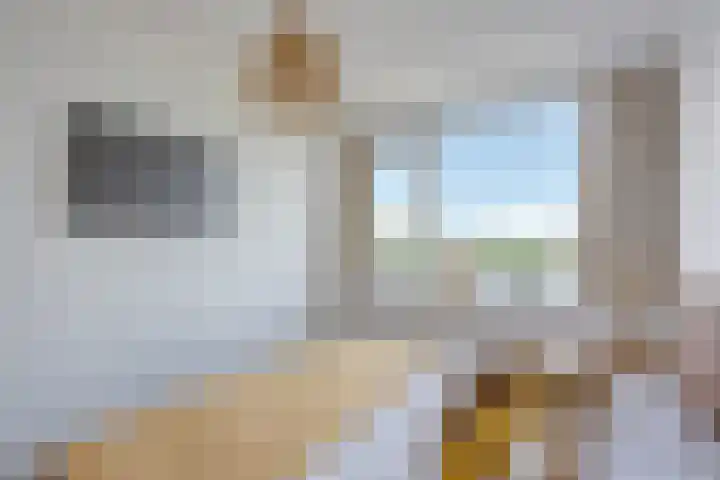 Lorentzplein 16 Badhoevedorp thumbnail 23