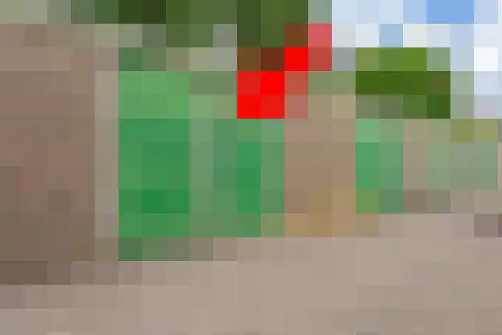 Lorentzplein 16 Badhoevedorp thumbnail 28