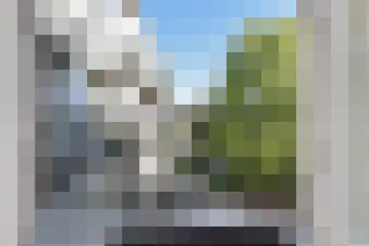 Lorentzplein 19 Den Haag thumbnail 24
