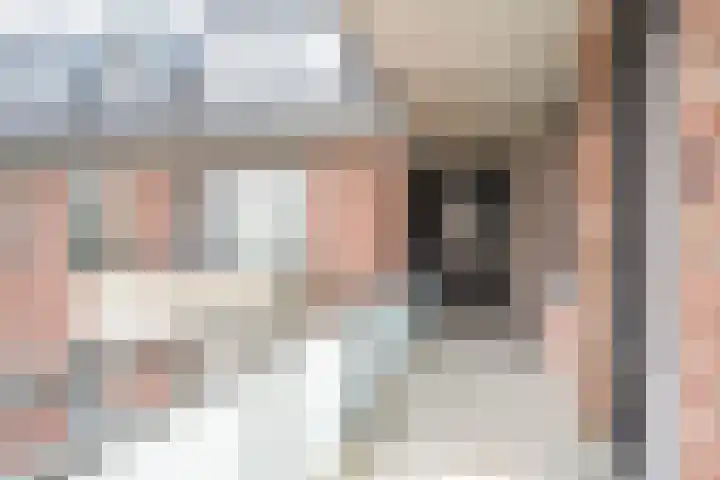 Lorentzschans 23 Zoetermeer thumbnail 10