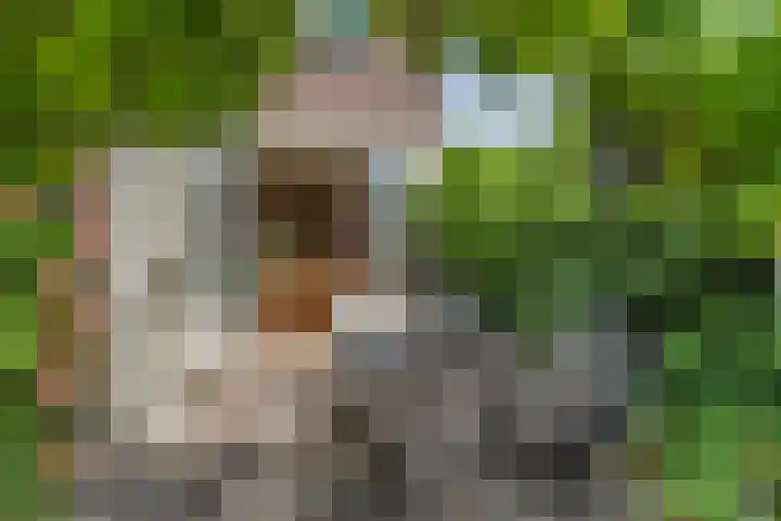 Lorentzschans 23 Zoetermeer thumbnail 13