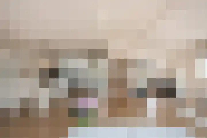 Lorentzschans 23 Zoetermeer thumbnail 18
