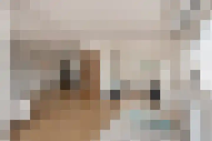 Lorentzschans 23 Zoetermeer thumbnail 19