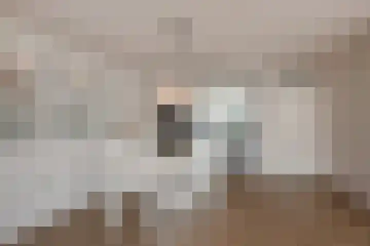 Lorentzschans 23 Zoetermeer thumbnail 22