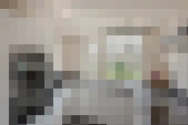 Lorentzschans 23 Zoetermeer thumbnail 24