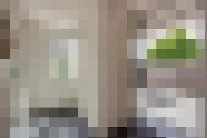 Lorentzschans 23 Zoetermeer thumbnail 27
