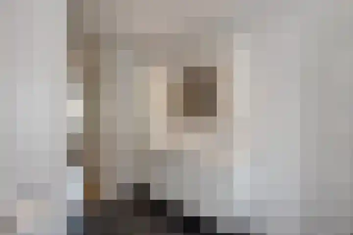 Lorentzschans 23 Zoetermeer thumbnail 37