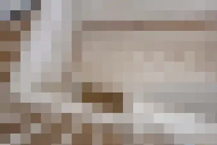Lorentzschans 23 Zoetermeer thumbnail 39