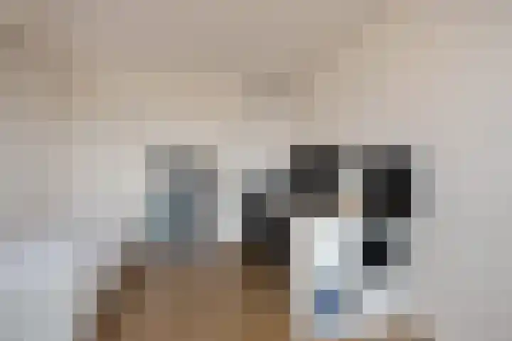 Lorentzschans 23 Zoetermeer thumbnail 41
