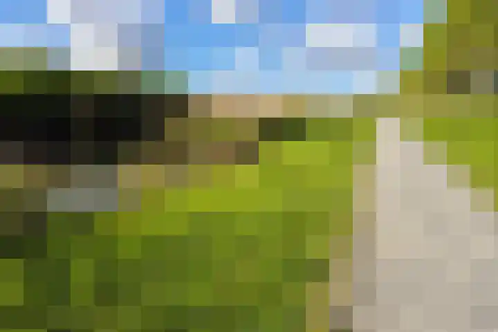 Lorentzschans 23 Zoetermeer thumbnail 46