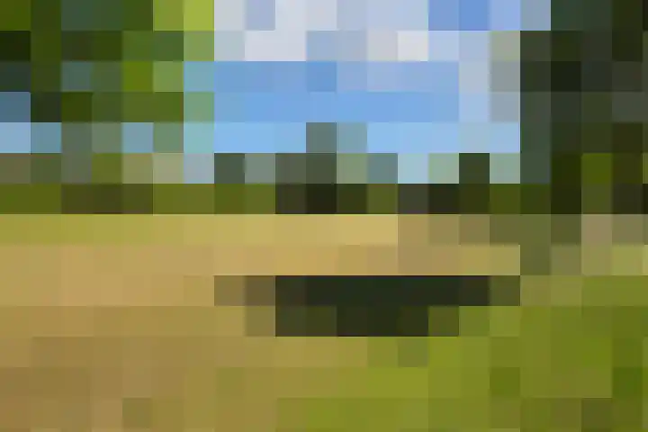Lorentzschans 23 Zoetermeer thumbnail 47