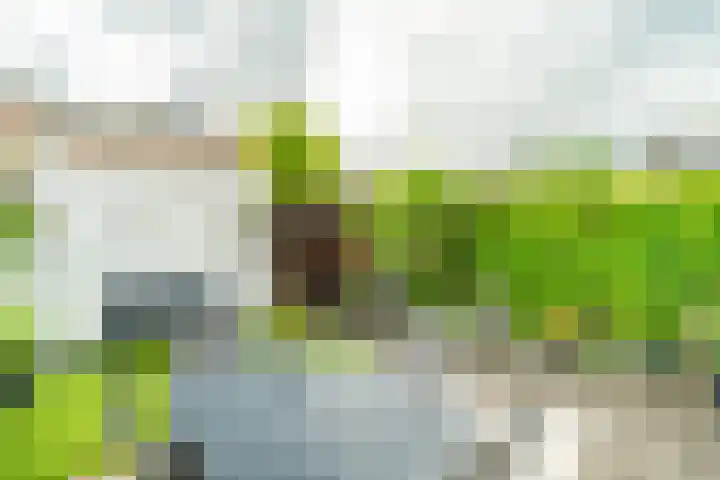 Lorentzschans 28 Zoetermeer thumbnail 11