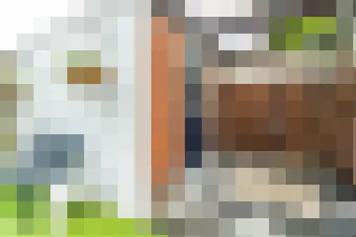 Lorentzschans 28 Zoetermeer thumbnail 13