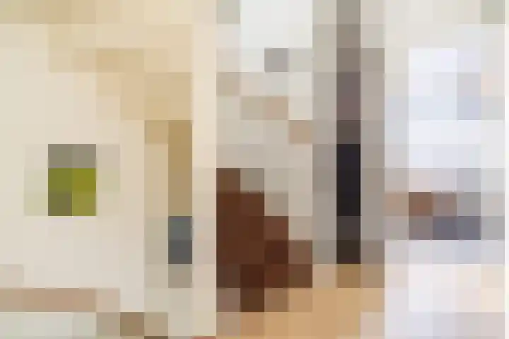 Lorentzschans 28 Zoetermeer thumbnail 31
