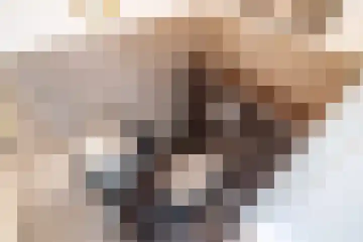 Lorentzschans 28 Zoetermeer thumbnail 36