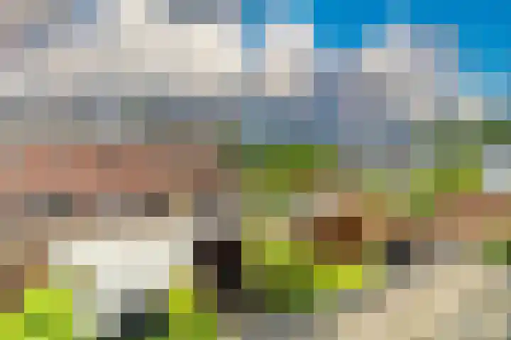 Lorentzschans 28 Zoetermeer thumbnail 39