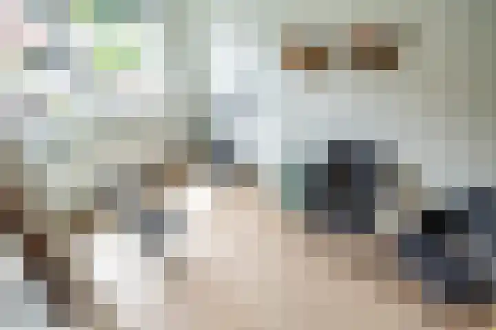 Lorentzschans 28 Zoetermeer thumbnail 41