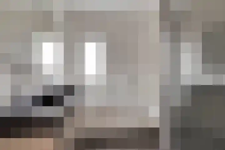 Lorentzschans 28 Zoetermeer thumbnail 56