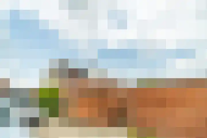 Lorentzschans 28 Zoetermeer thumbnail 61