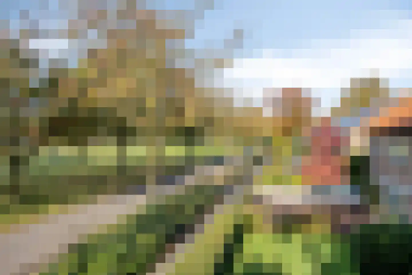 Lorentzstraat 16 Helmond thumbnail 4