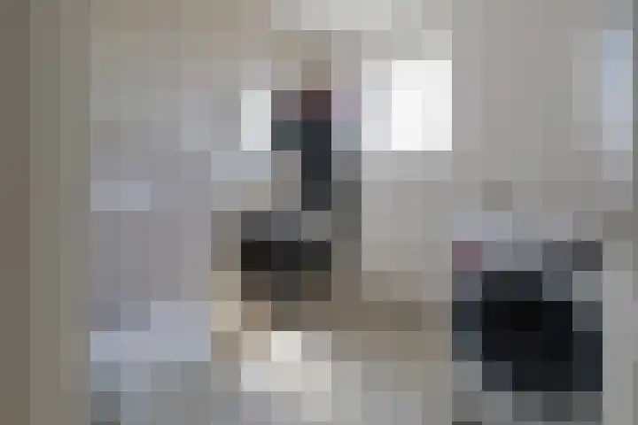 Lorentzstraat 18 IJmuiden thumbnail 37