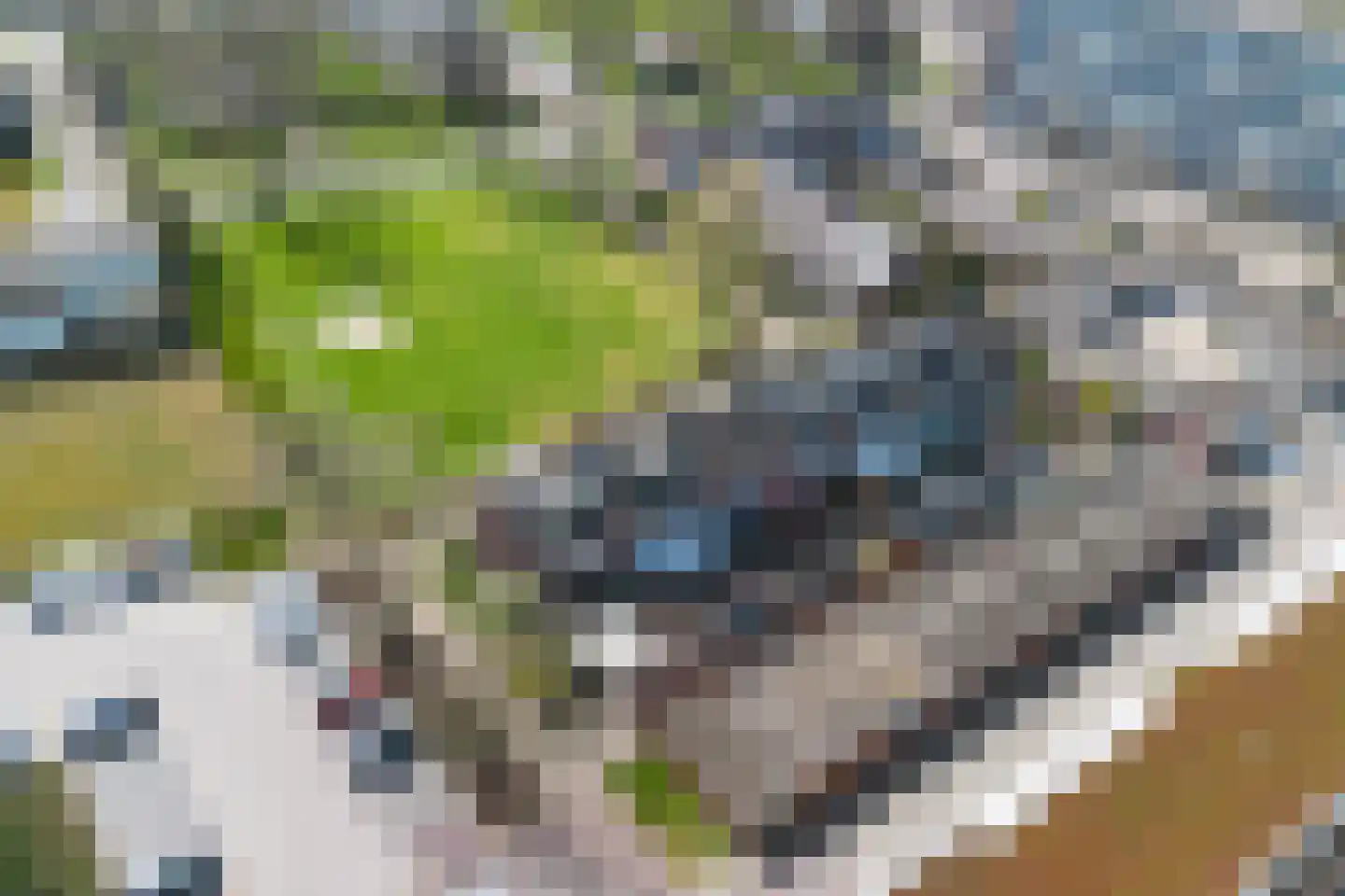 Lorentzstraat 19 Apeldoorn thumbnail 40