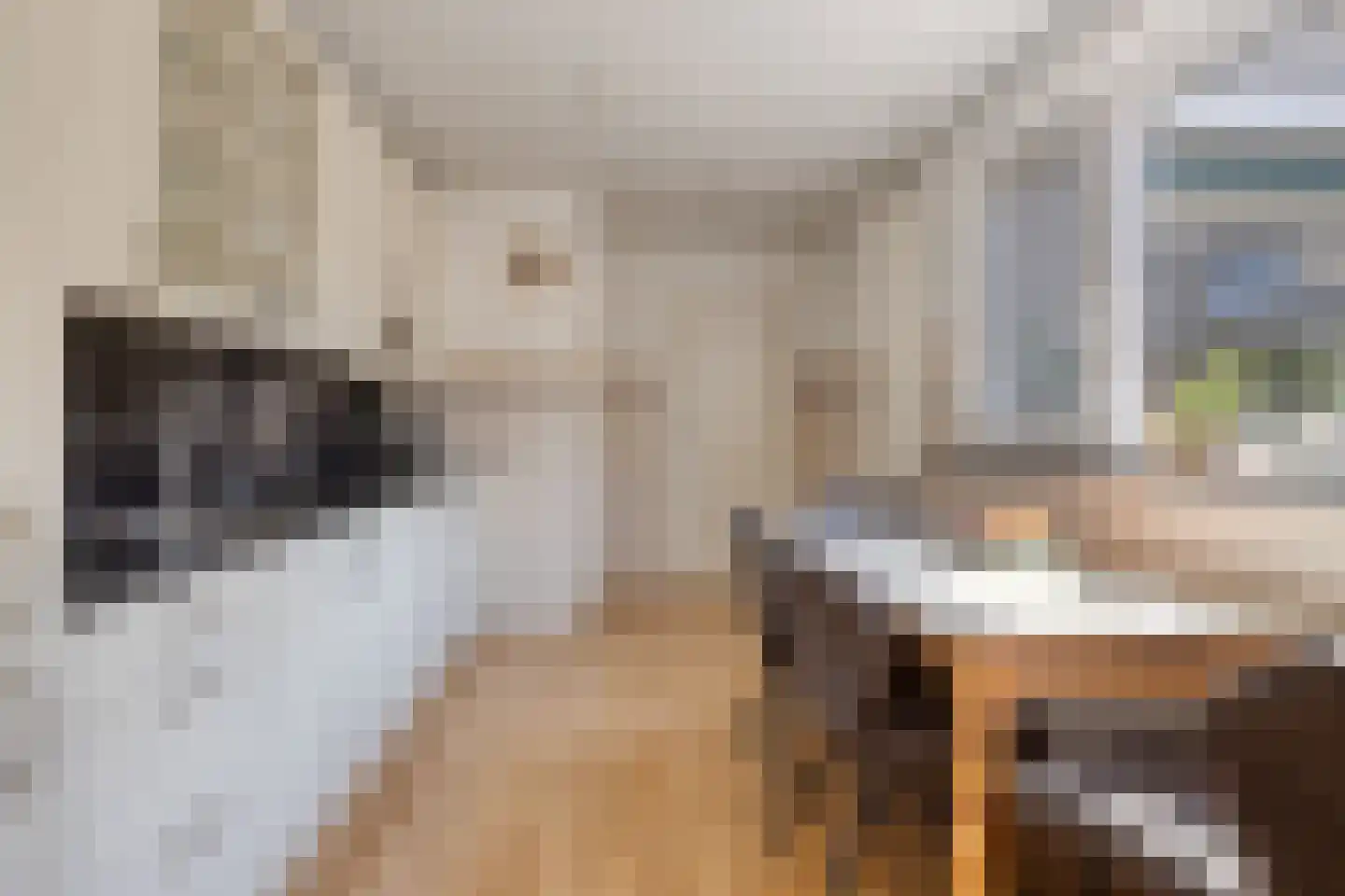 Lorentzstraat 2 Hoogerheide thumbnail 18
