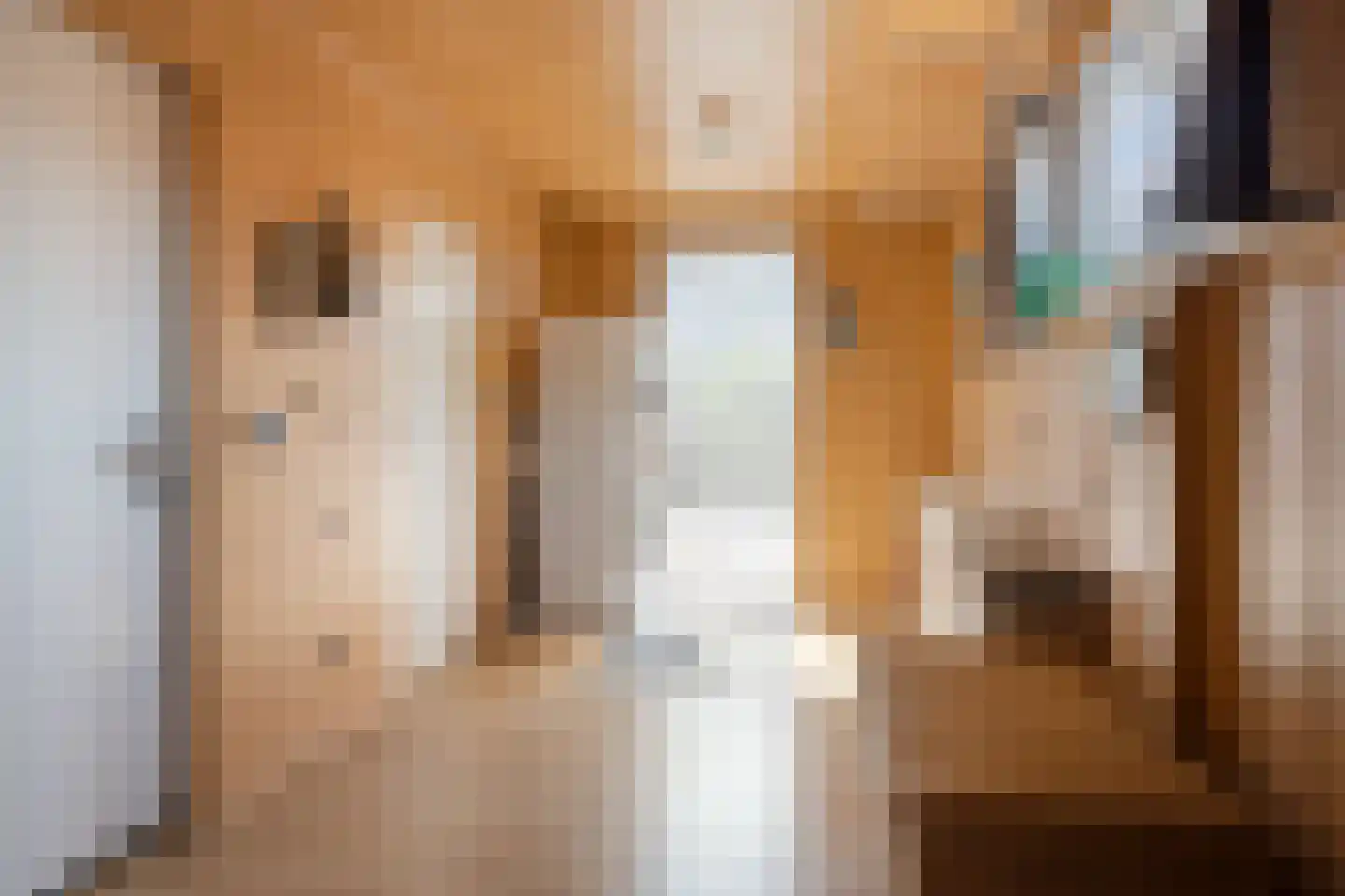 Lorentzstraat 2 Hoogerheide thumbnail 20