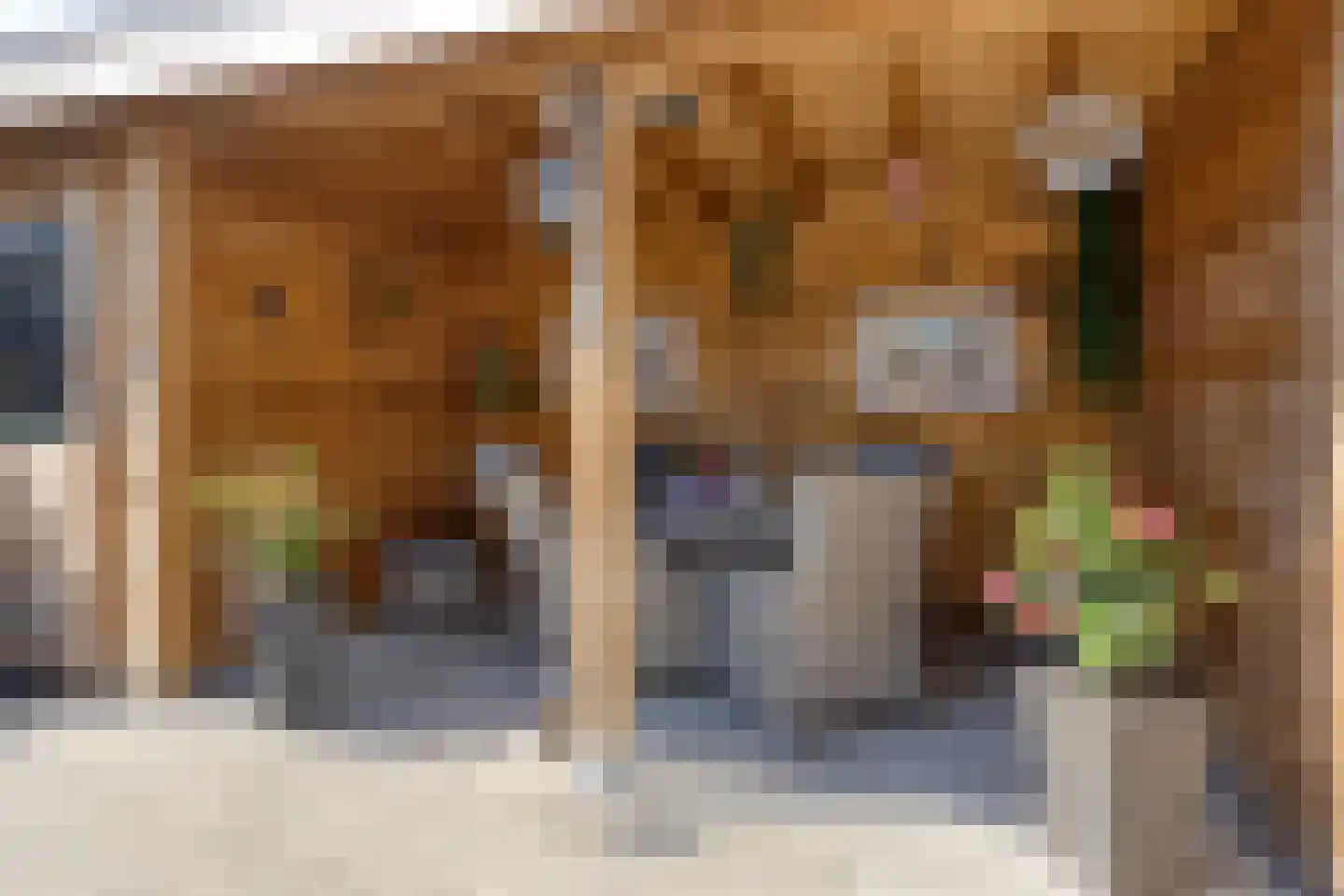 Lorentzstraat 2 Hoogerheide thumbnail 36