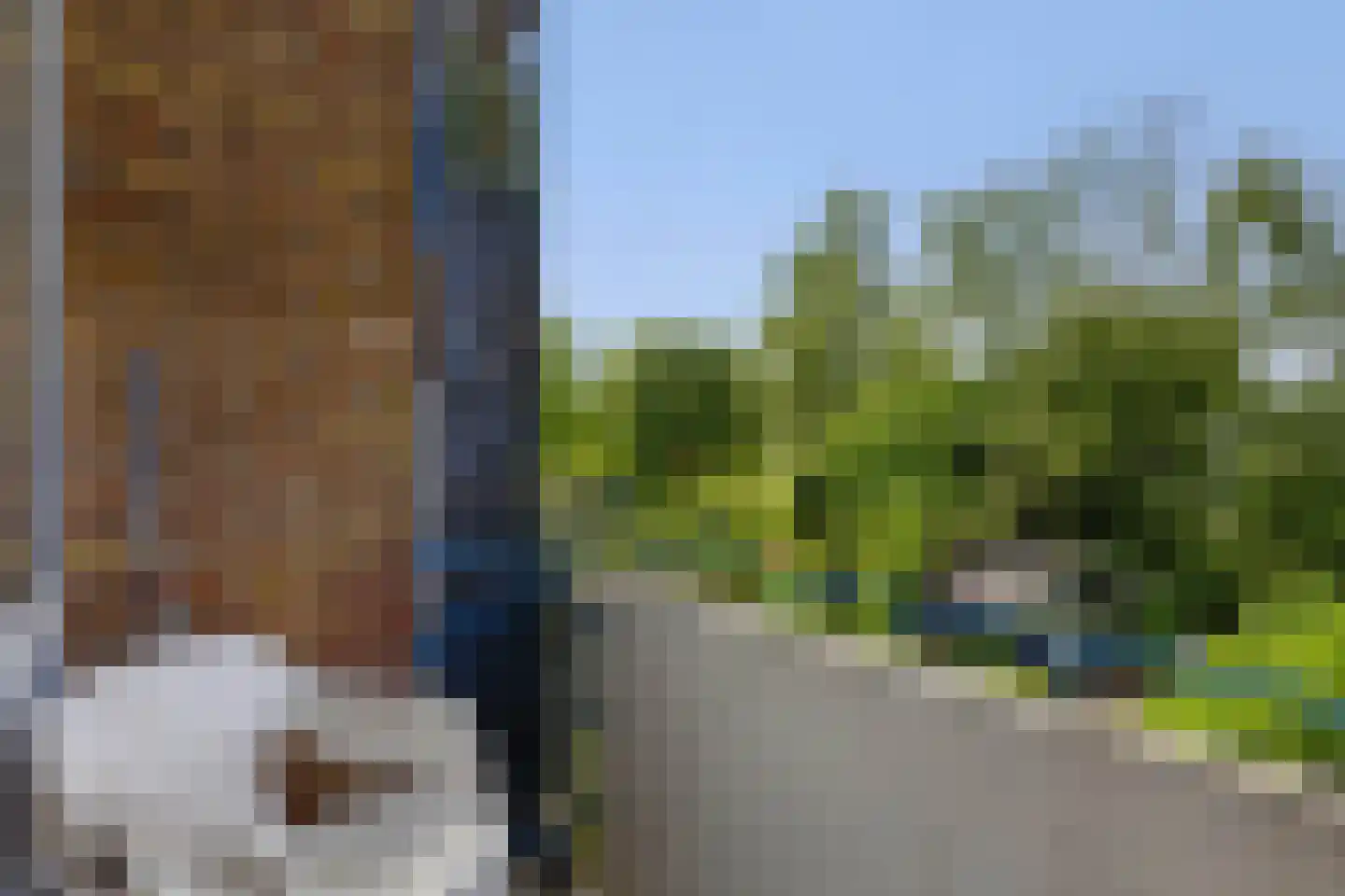 Lorentzstraat 21 Vlaardingen thumbnail 20