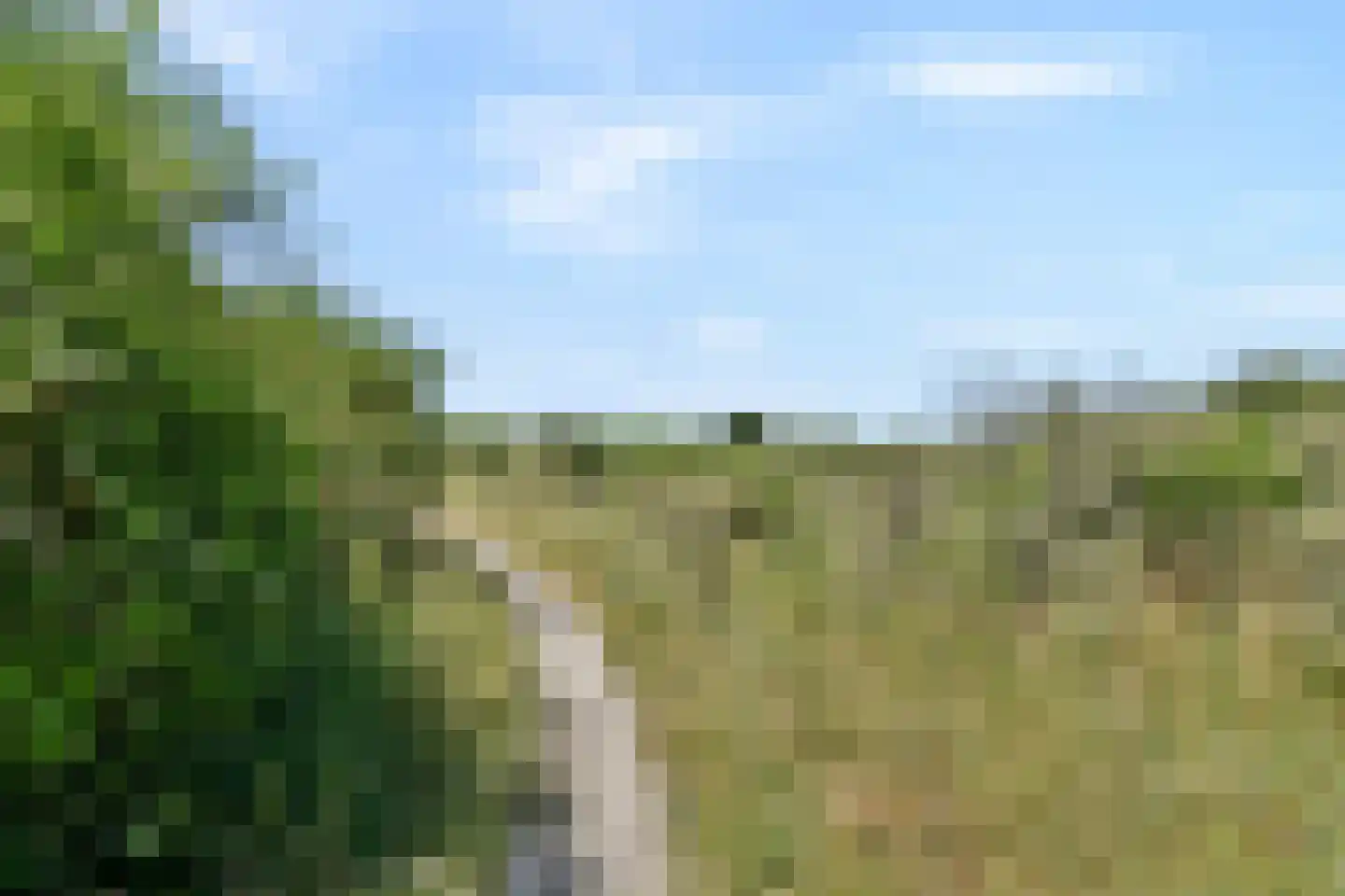 Lorentzstraat 296 Zandvoort thumbnail 32