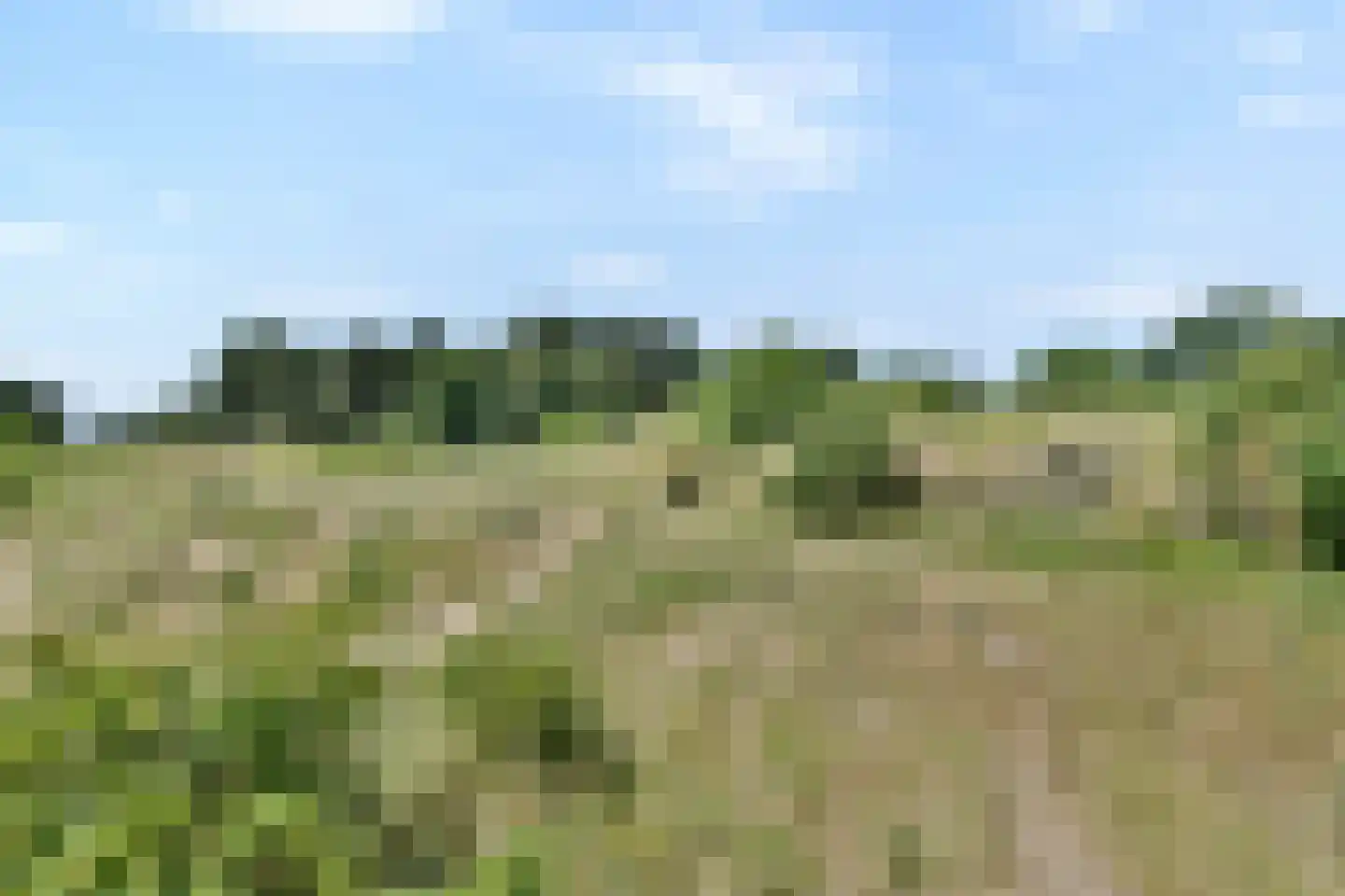 Lorentzstraat 296 Zandvoort thumbnail 33