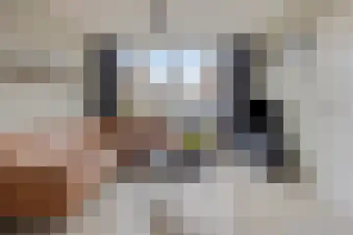 Lorentzstraat 3 Kampen thumbnail 10