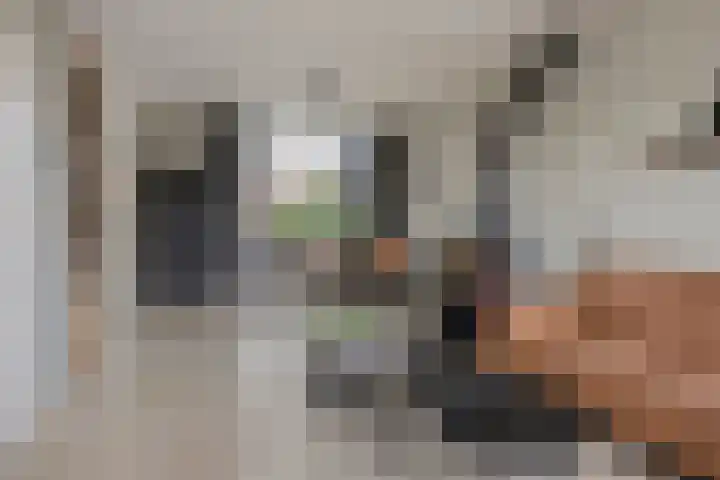 Lorentzstraat 3 Kampen thumbnail 11