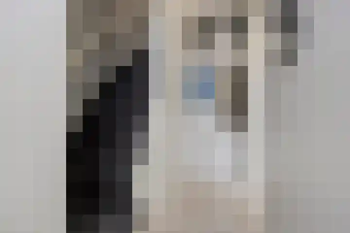 Lorentzstraat 3 Kampen thumbnail 5