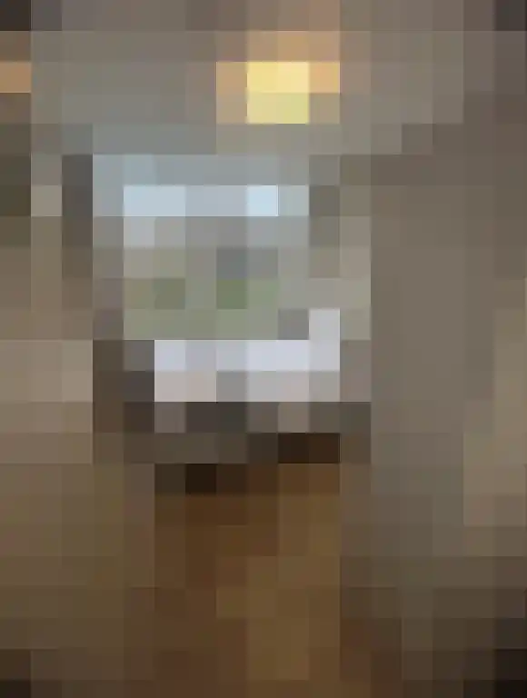 Lorentzstraat 3 Vlaardingen thumbnail 5