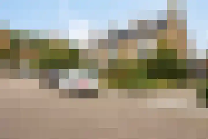 Lorentzstraat 33 Kampen thumbnail 33