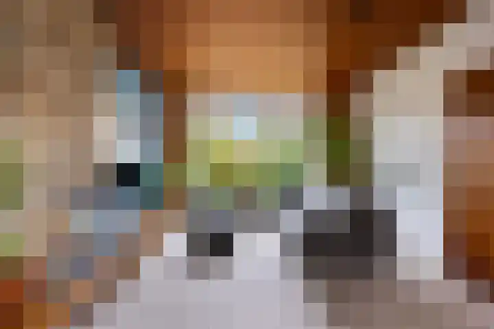 Lorentzstraat 33 Kampen thumbnail 5