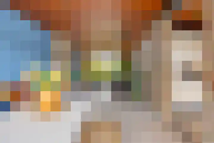 Lorentzstraat 33 Kampen thumbnail 8